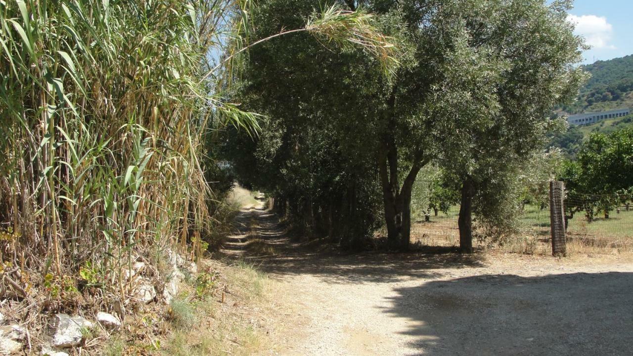 Villa Primaluce Pizzo  Exterior foto